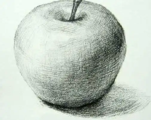 静物素描单体教程素描简单入门图片临摹