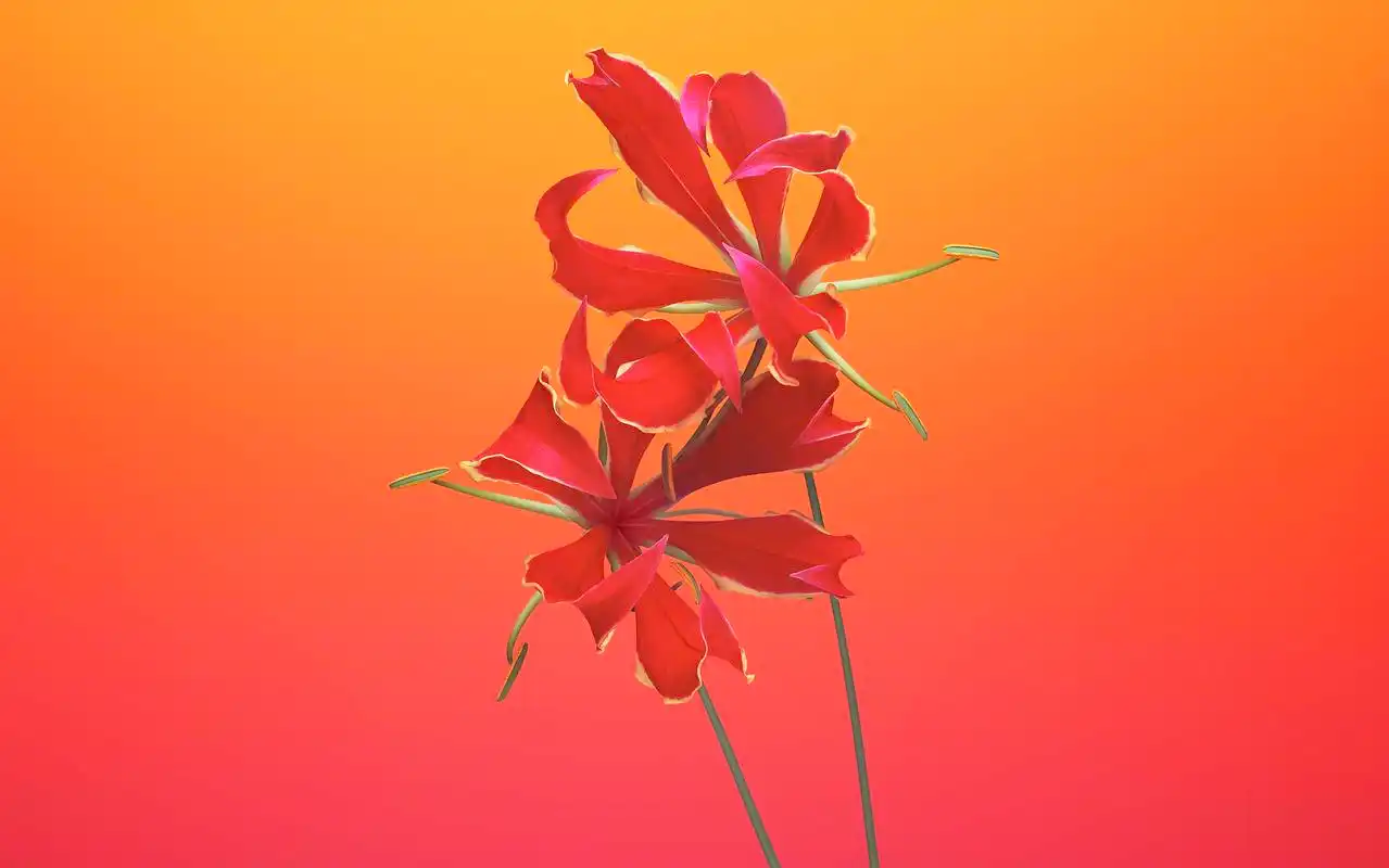 苹果ios11官方系统最新主题桌面壁纸图片高清大图预览1920x1200_设计