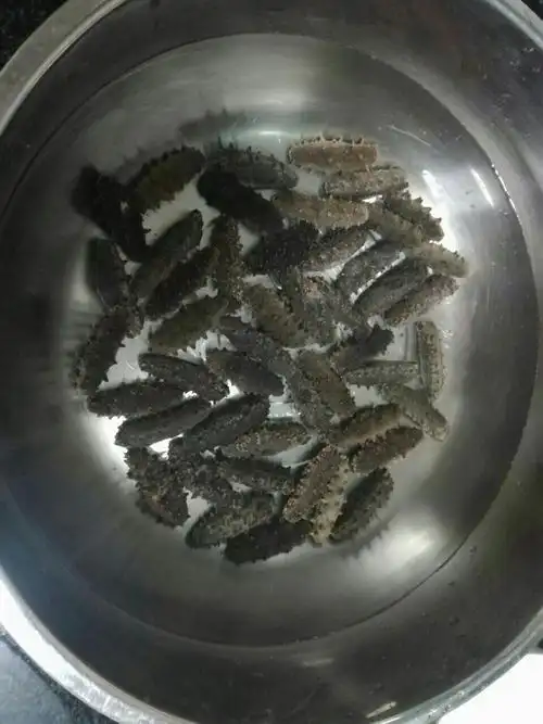 巧手懿菲妈妈自发海参全程实拍