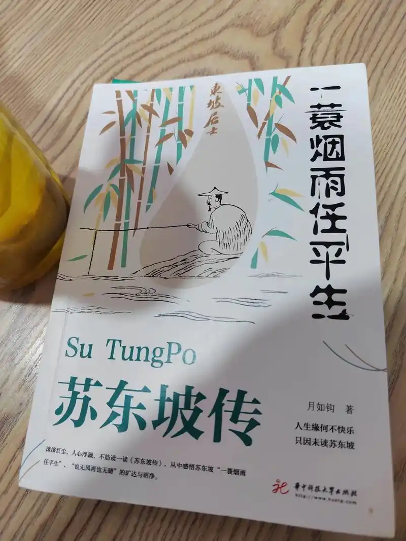 缘何不快乐 未读苏东坡.语文课上学了很多苏轼的诗词 这本苏东 - 抖音