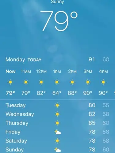 气温比起国内其实不算高,但是我们华州的太阳太毒连