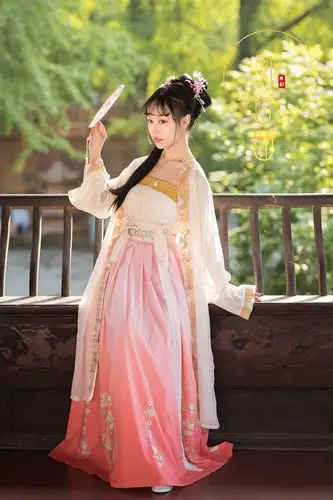 凤台曲原创(万物生)原创宋制汉服刺绣褙子宋抹一片式齐腰襦裙