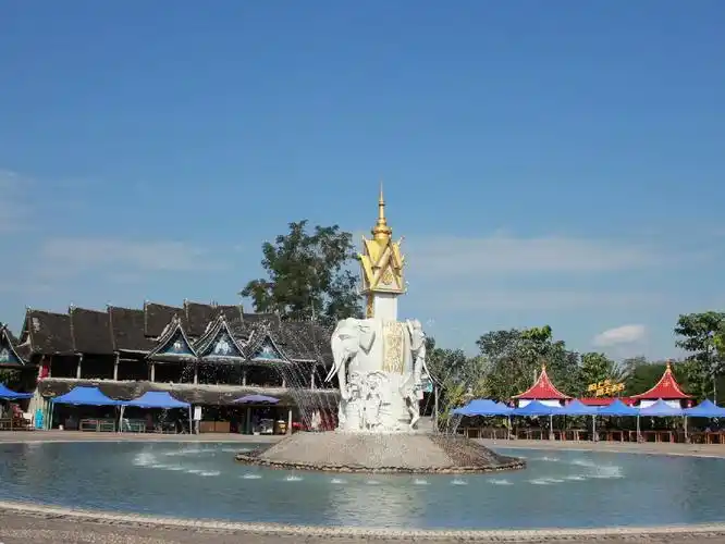 「秒懂百科」一分钟带你游遍橄榄坝