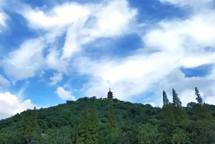 一年一次的爬山项目,缺少锻炼真是爬得半条命没了～南通有"三怪":狼山