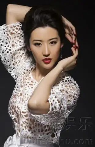 段小环最新冷艳写真曝光 表情冷峻