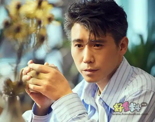 钢的琴的演员李乃文演技如何万年男二的他为何不火