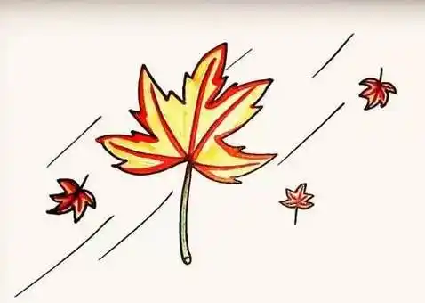 枫叶植物简笔画步骤图片每日简笔画枫叶火红的枫叶简笔画枫叶简笔画
