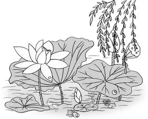 荷花图片大全简笔画 国画荷花图片大全