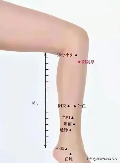 图片来自网络,如有侵权,联系作者肾关穴肾关穴的位置在*陵泉下1.