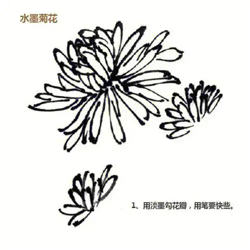 水墨菊花,桂花,虞美人的绘画步骤仁美大学堂汇聚百位书画名家授课