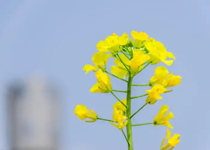 来源:当代广西网