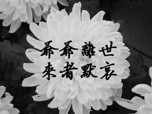 爷爷,一路走好 - 寒音 - 江南雨碎