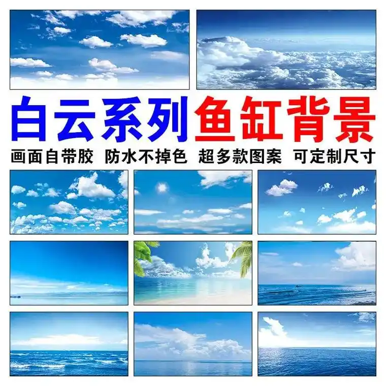 贴上这张鱼缸背景纸,我的小鱼儿们仿佛置身于一个美丽的海底世界 - 抖