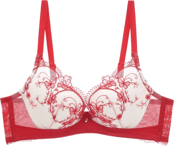 欧迪芬中国红-24年传承不变的品牌初心_内衣