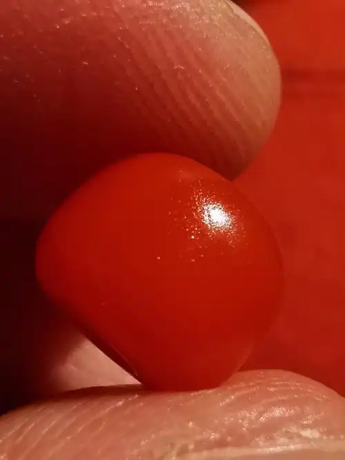 藏传老甘南红满色满肉