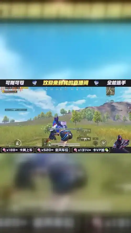 和平精英# 【鑫天汇】可乐 超远距离杀敌,这狙我给满分