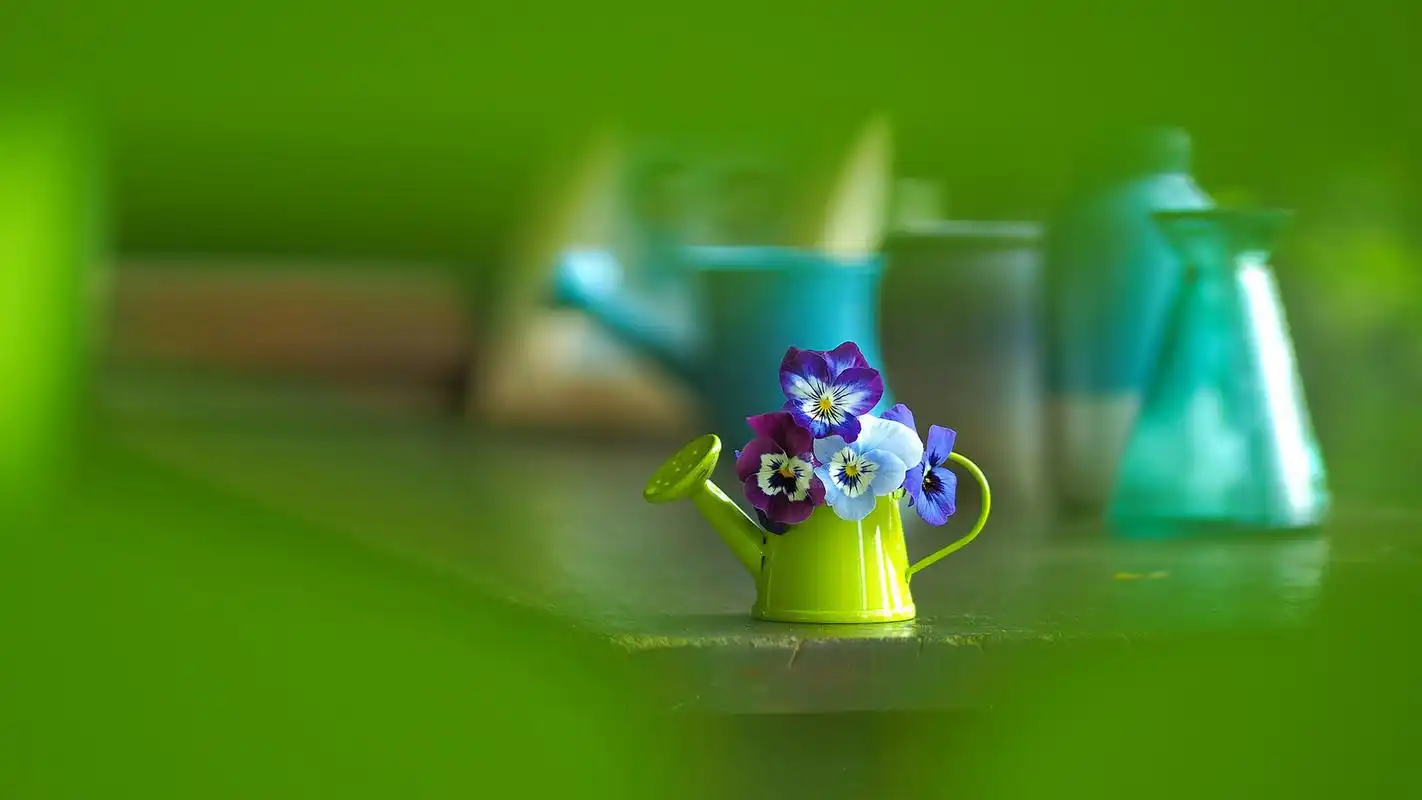 小清新静物摄影高清宽屏桌面壁纸