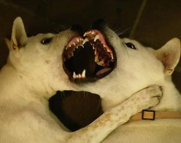 分享到: × 分享到微信朋友圈       打开微信,点击底部的"发现"