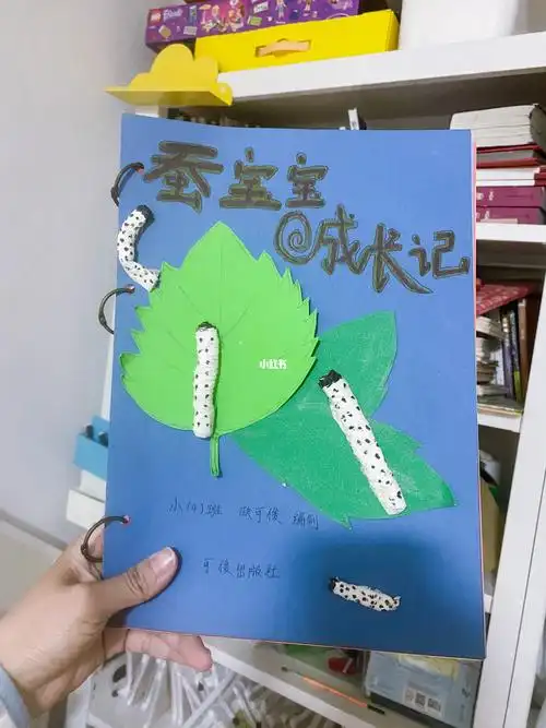 幼儿园亲子作业自制绘本蚕宝宝生长日记