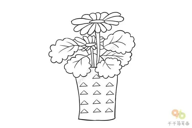 长寿花步骤简笔画