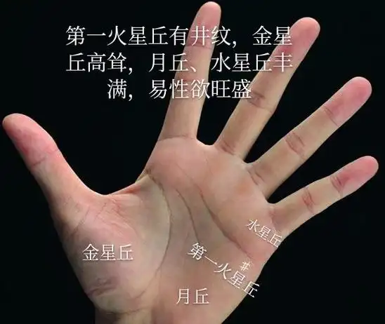 非常罕见的十大吉祥终极手相,非常罕见的十五种大吉祥手相纹