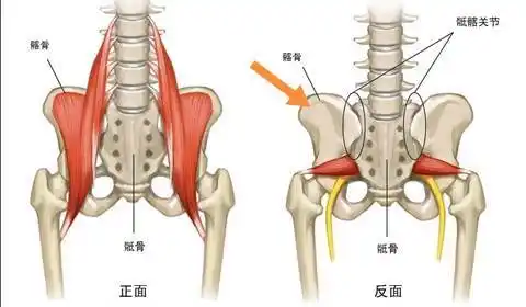 幼有没有髂骨就箭头指的地方庝怎么办