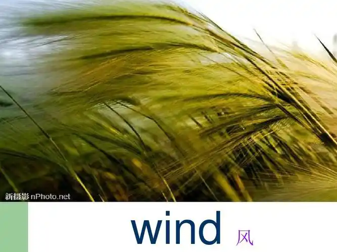 wind 风