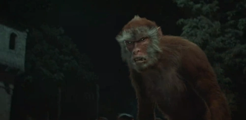 这里大马猴的特效制作,看起来倒是和普通猴子很像,与《山海经》中的