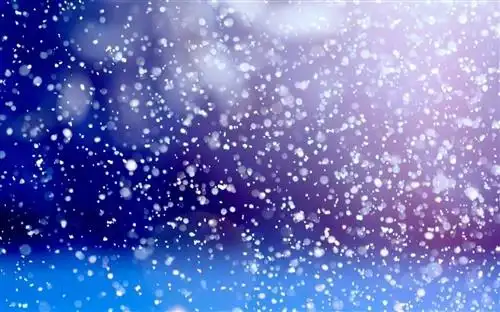 又到了飘雪的季节说说飘雪的唯美说说