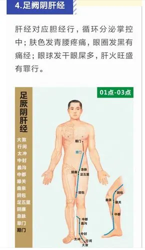 足三阴～三阳 写美篇手三阴经:手太阴肺经,手厥阴心包经,手少阴心经