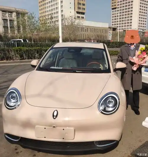 【图】小欧提车变装(炫酷火山灰)_欧拉好猫论坛_汽车之家论坛