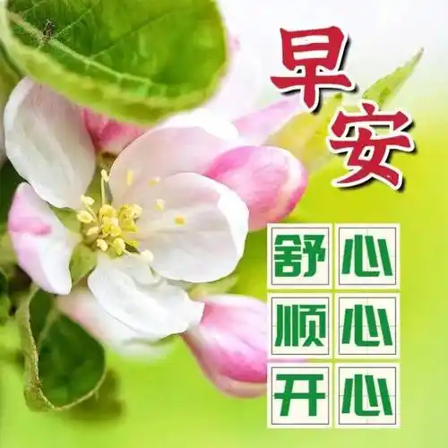 清晨好看的早上好问候祝福语图片 精选早安暖心祝福图片带字带祝福语
