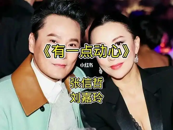 张信哲刘嘉玲演唱的一首有一点动心