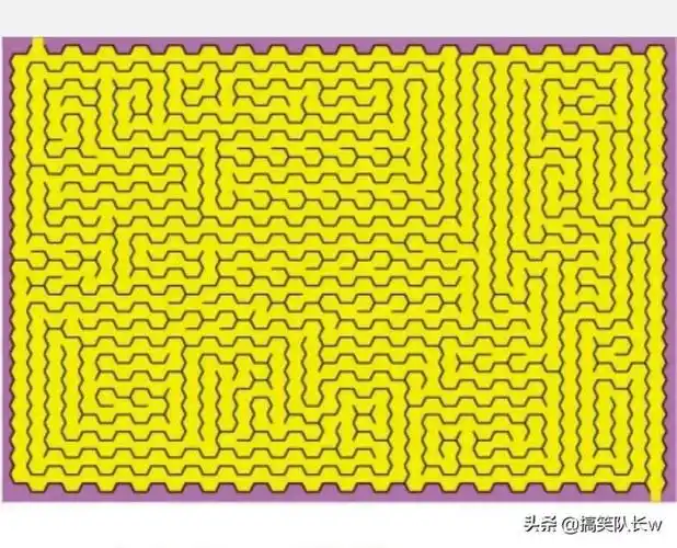 史上最难迷宫五个超高难度的迷宫