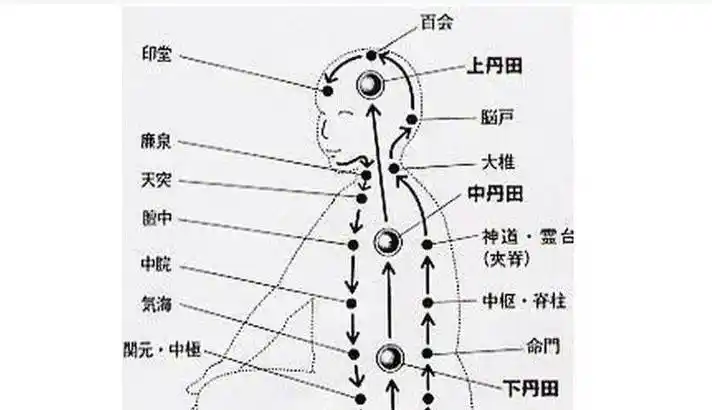 武术中的小周天任督二脉解密