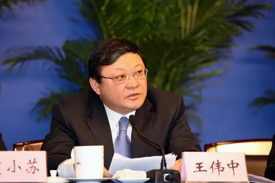 科技部副部长王伟中讲话 (于洪奇 摄)