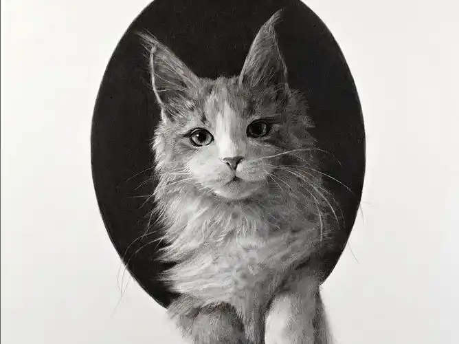 【茄子素描】动物素描绘画过程 素描基础 宠物宝贝-nuyoah