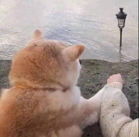 抖音动漫卡通情侣头像大全