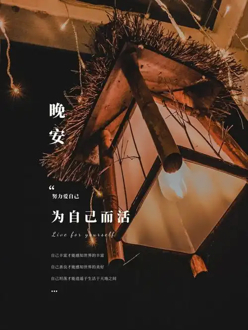 已经不对外营业了,晚安93晚睡的姑娘