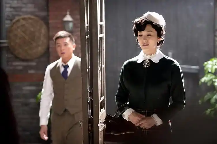 李小冉演过的电视剧八部精彩谍战