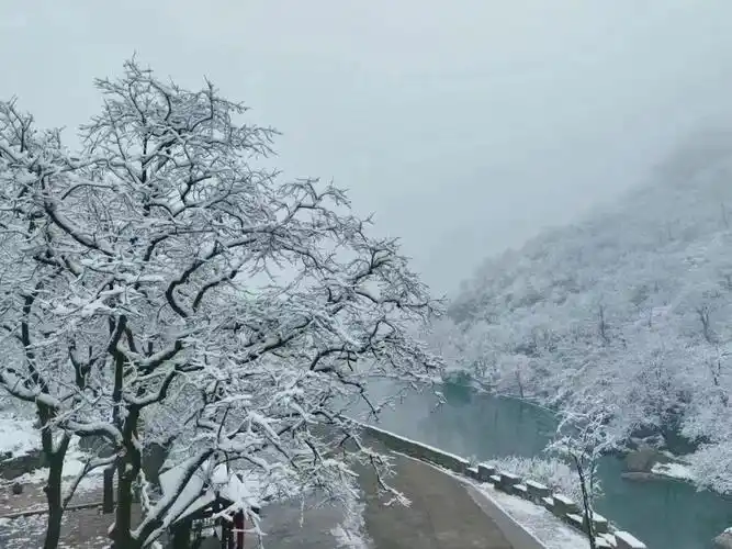 新乡南太行这一波雪景太美了河南旅游资讯网–旅游资讯–自驾游–免费