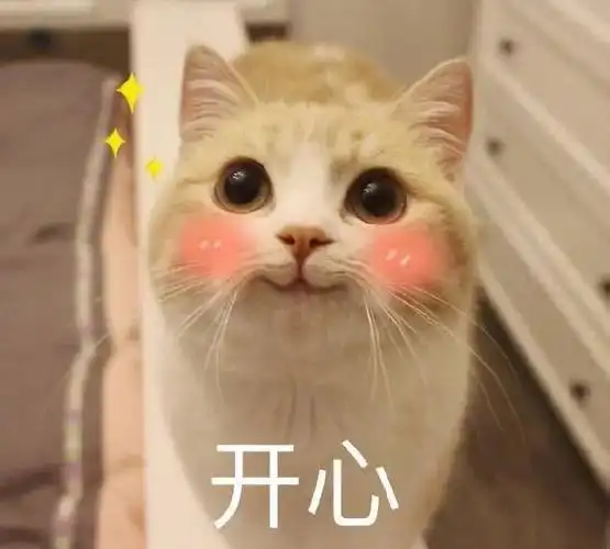 萌宠猫星人开心害羞呆萌可爱gif动图_动态图_表情包下载_soogif