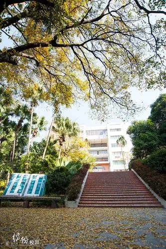 【缤纷校园摄影图片】校园风光摄影_太平洋电脑网摄影部落