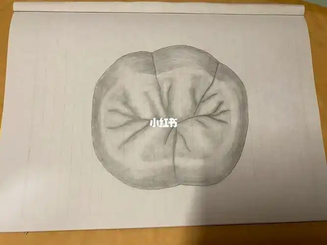 下颌第一磨牙形态素描