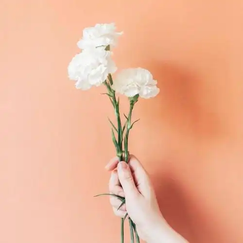 朋友圈背景图高清唯美封面图