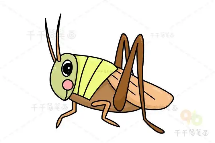 有翅膀的蟋蟀简笔画