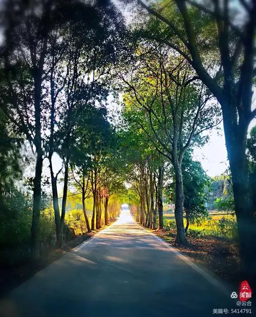 乡村田园风光～龙源(手机随拍)