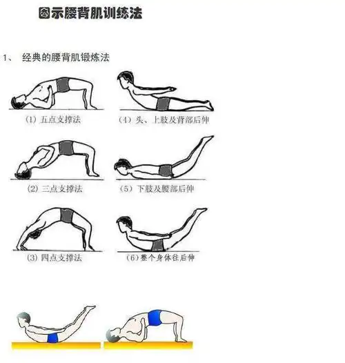 点支撑法;(3)四点支撑法 (4)头,上肢及背部后伸;(5)鱼跃式;(6)飞燕式