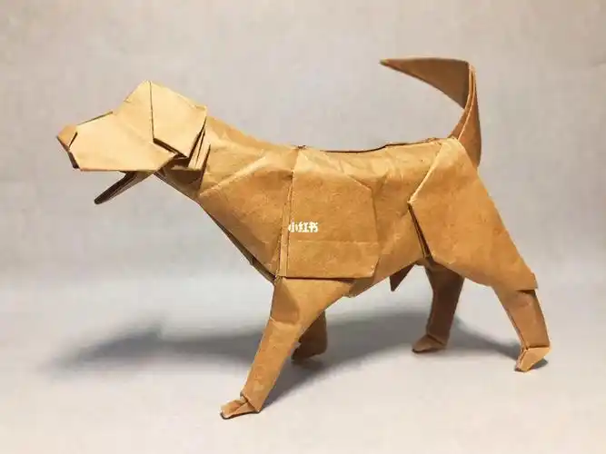 武汉攻略拉布拉多生肖狗狗折纸一张纸折出一只小狗折纸入门教程狗摆件