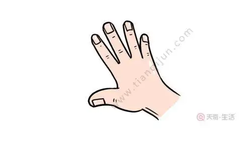 简笔画幼儿园彩色手掌